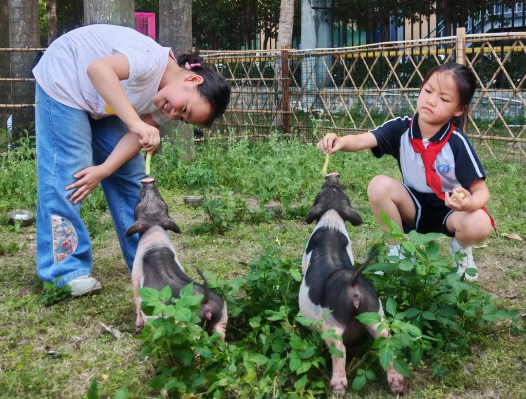 最生动的“活教材”！当校园来了“萌宠同学”🤩……