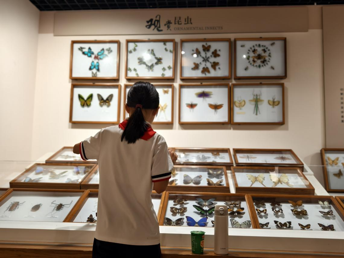 跟着《广东第二课堂》去游学丨“寻找我的动物朋友”奇趣营招募啦！